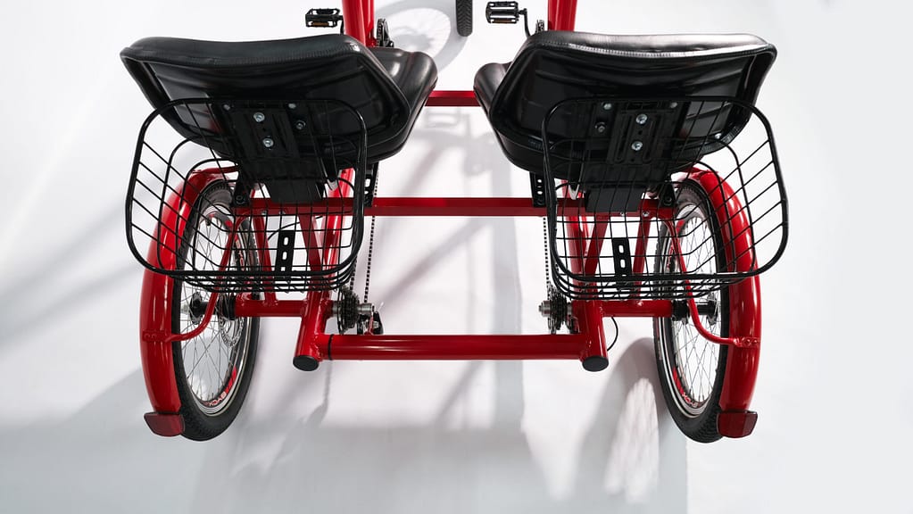 tandem2025 (3)