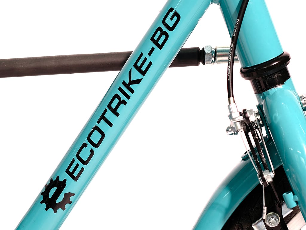 7_EcoTrike_D-16
